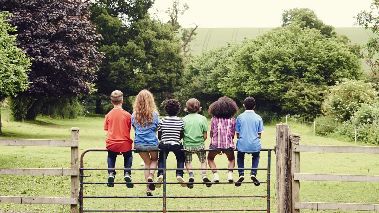 Group of friends sitting on a gate in a field