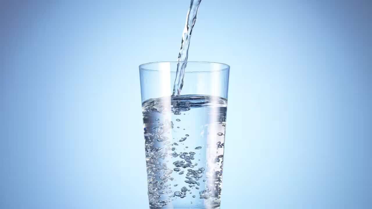 Purified sewage water.jpg