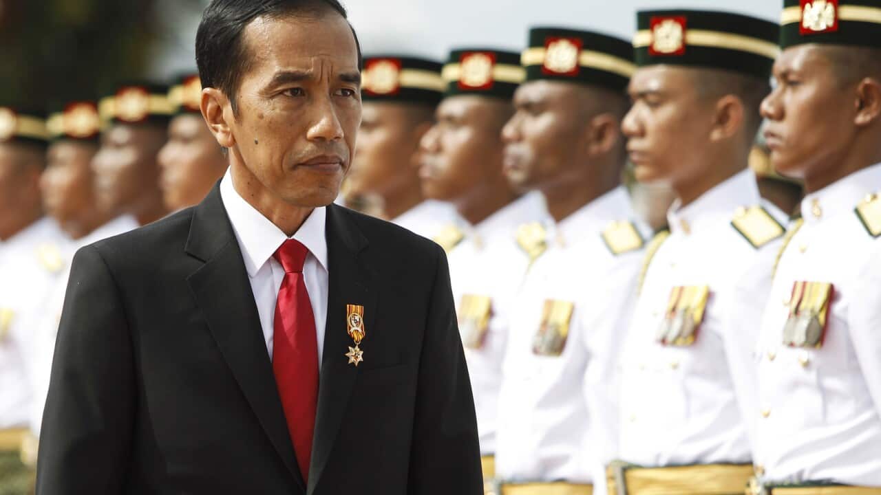 Indonesia's president Joko Widodo (AP)