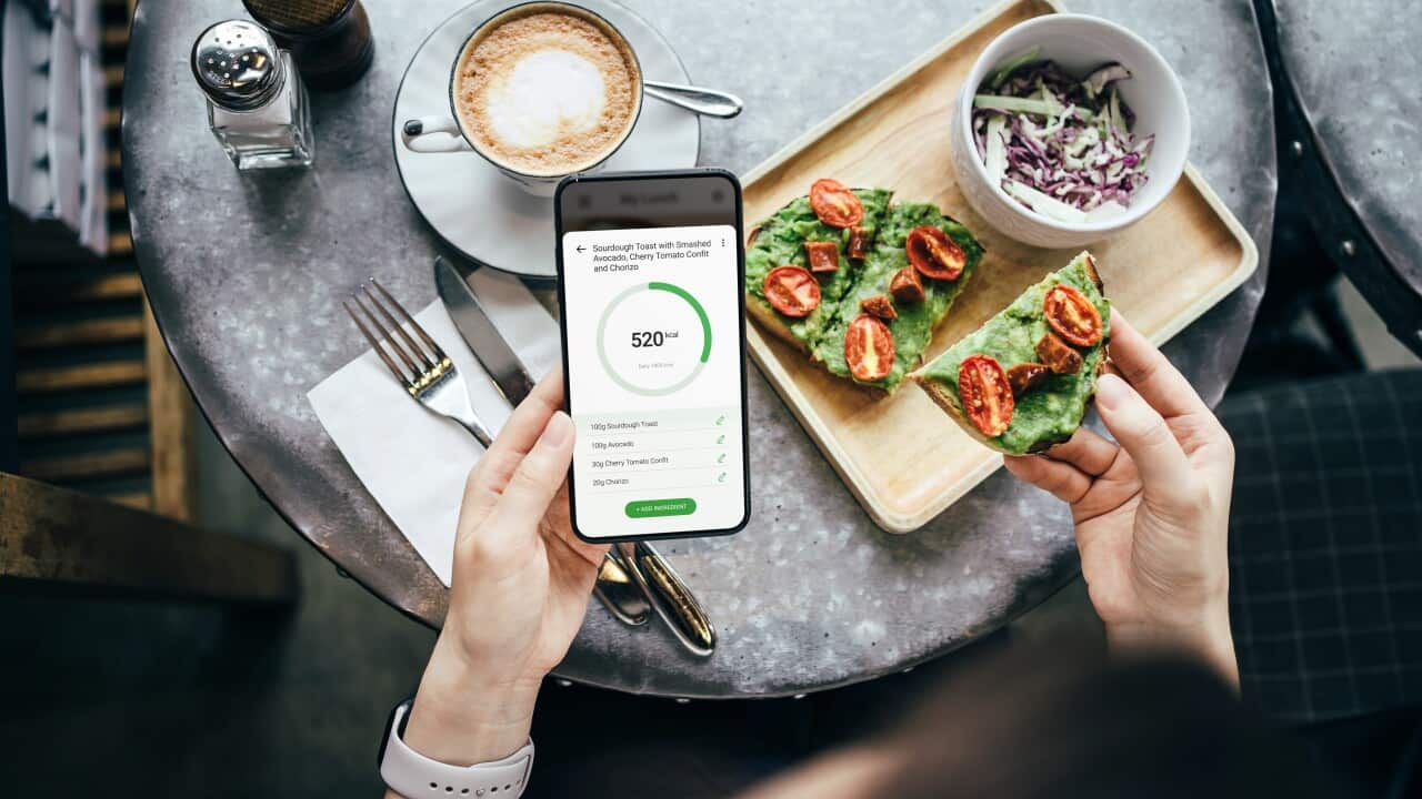 Person using a fitness plan mobile app to tailor their daily diet meal plan, checking the nutrition facts and calories intake of their meal.