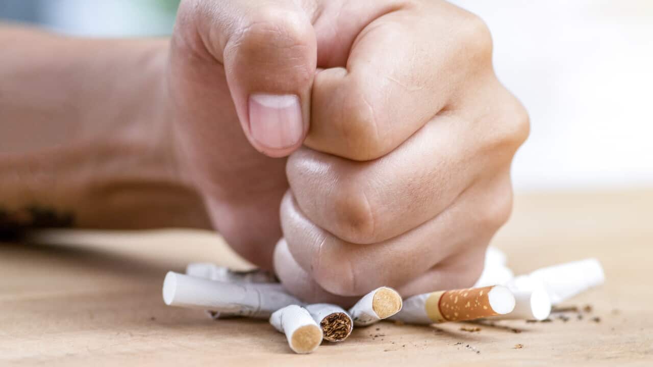 male hand destroying cigarettes - stop smoking concept