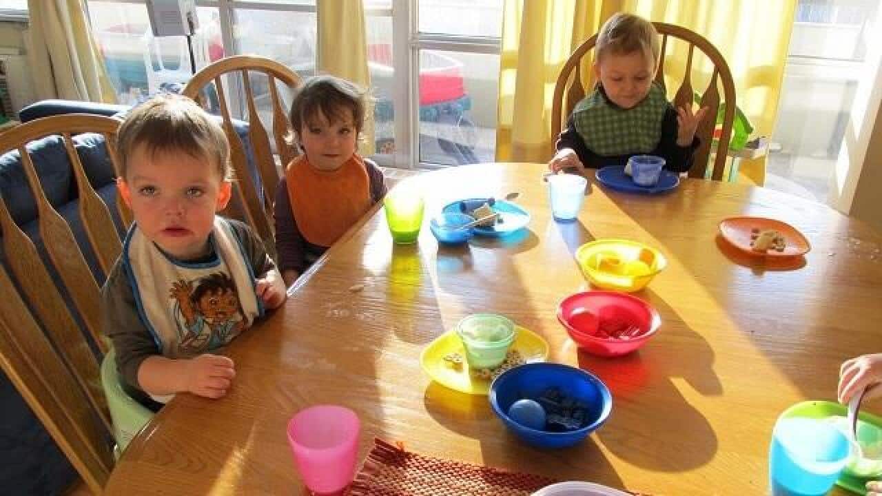 The rush to get training certificates for the family daycare sector, which has been seriously rorted by more than $1 billion