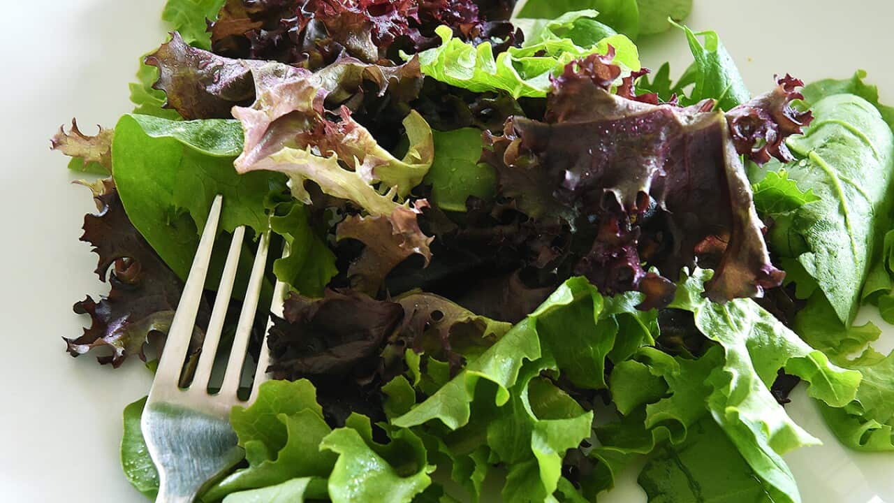 lettuce salad leaves