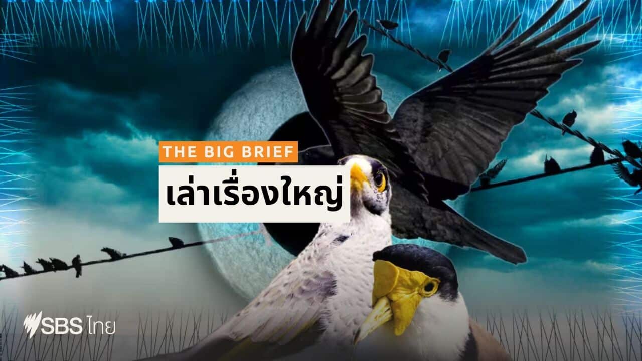 ALC THAI THE BIG BRIEF - BSP HEADER.jpg