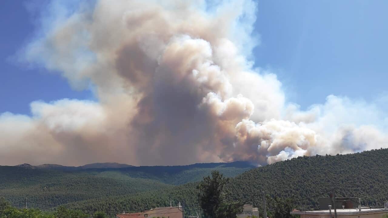 Image for read more article 'ΔΕΙΤΕ ΑΚΟΜΗ'