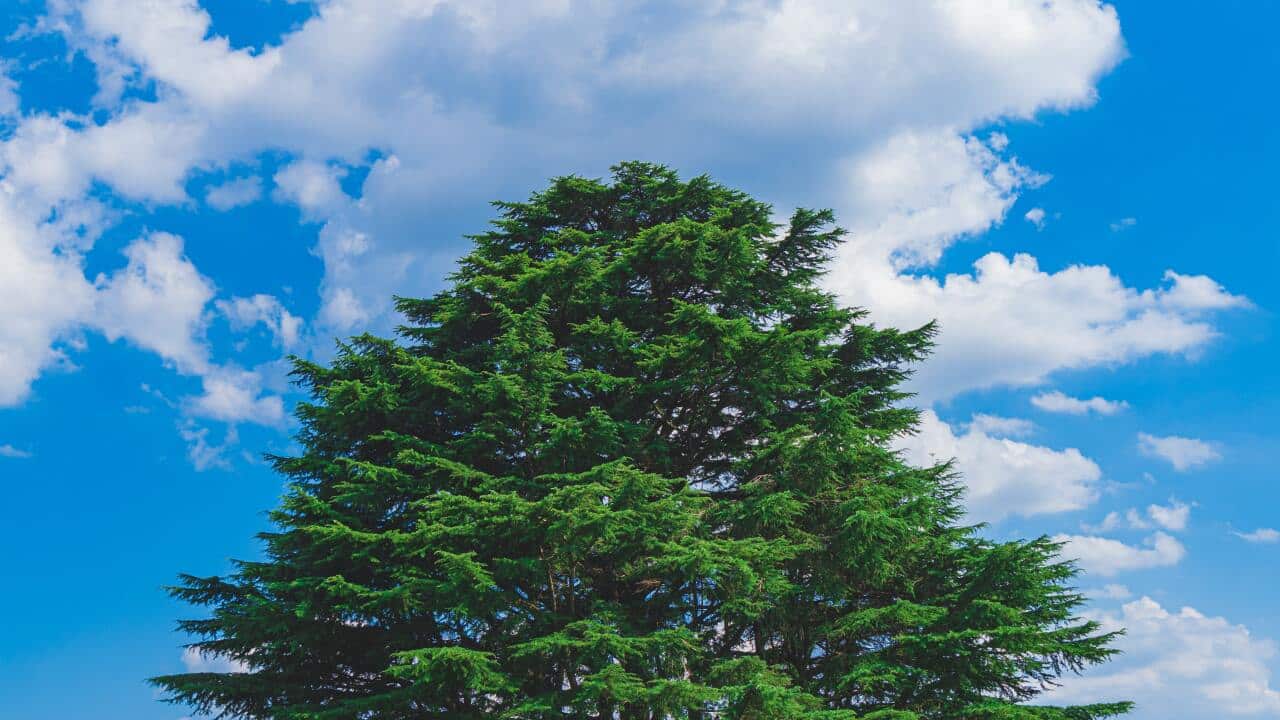 s-tsuchiya-t_SlEtCJl_U-unsplash (2).jpg