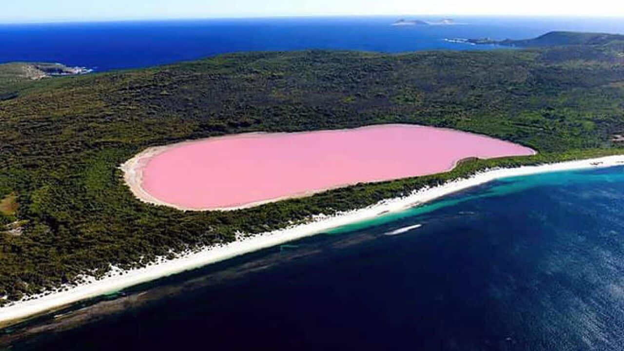 Pink lake