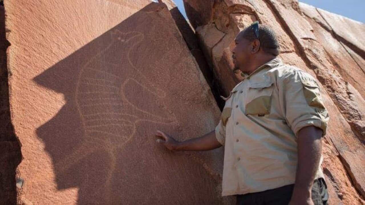 Un ranger vicino ad un petroglifo di una tigre della Tasmania nella penisola di Burrup.