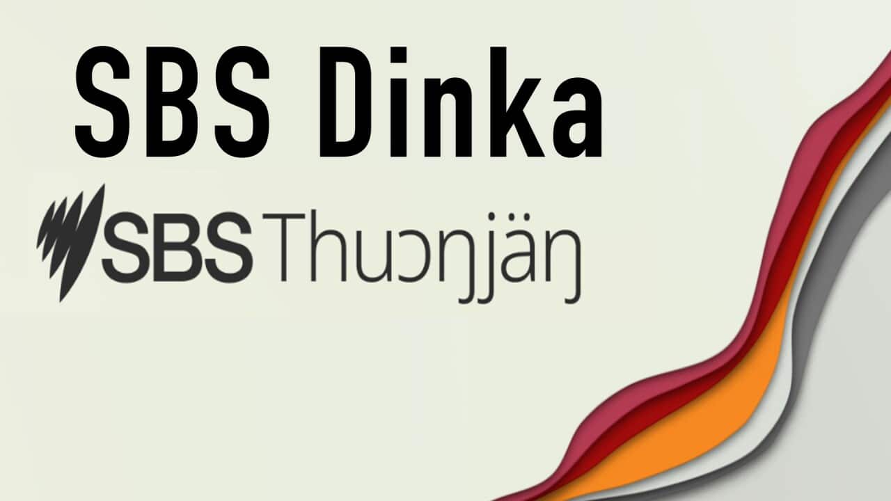 SBS Dinka