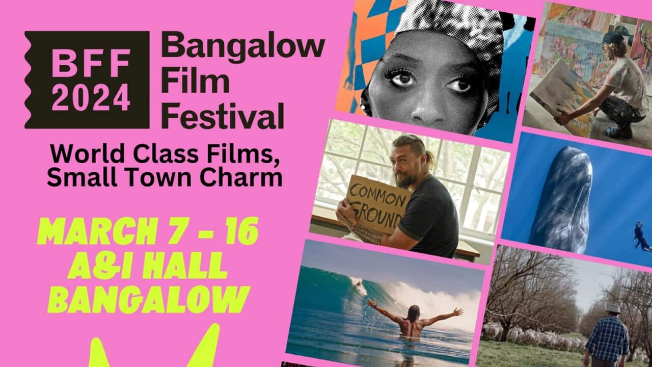 bangalow festival.jpg