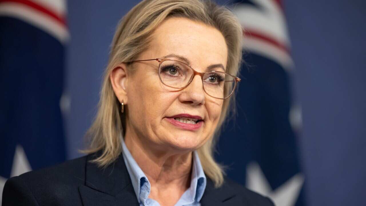 Image for read more article 'පසුගිය පුවත්'