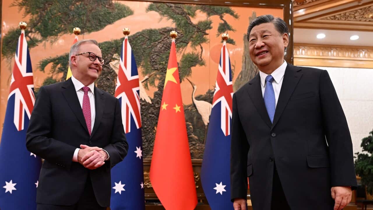 ANTHONY ALBANESE CHINA TOUR