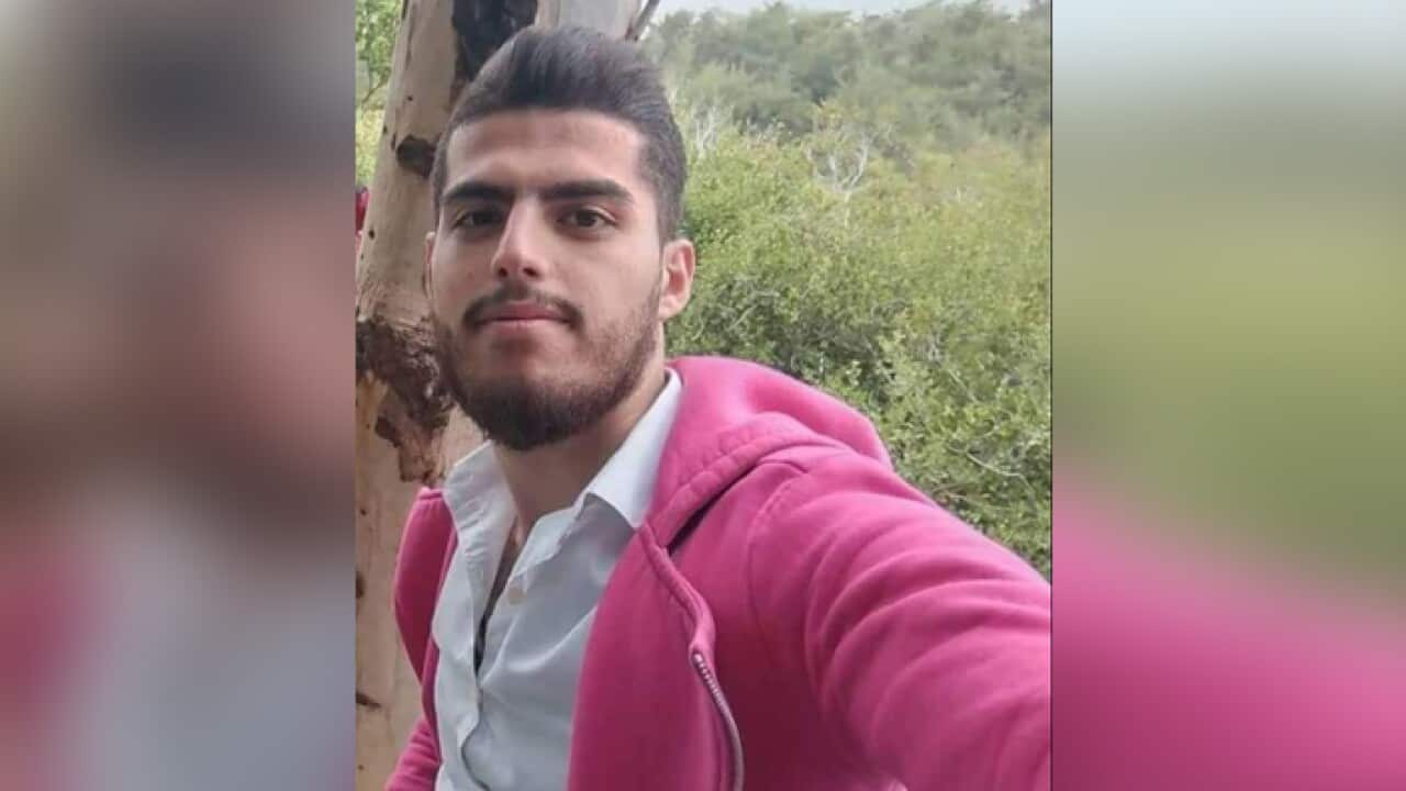 muhannad abu ammar, sweida