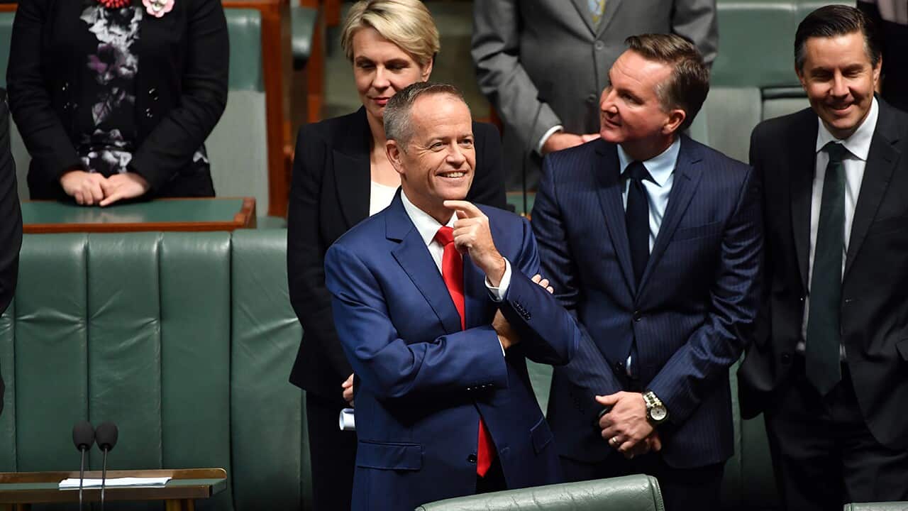 Leader of the Opposition Bill Shorten