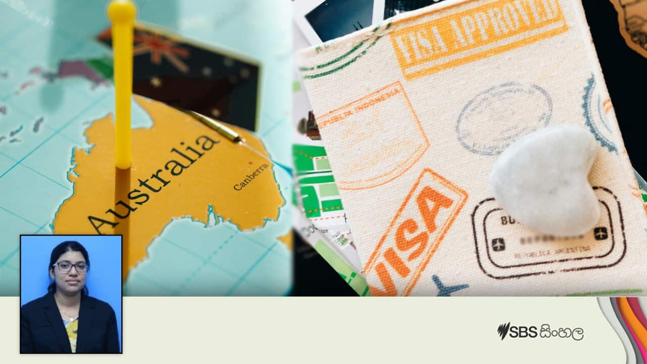 Deshani Diyunugalage.jpg