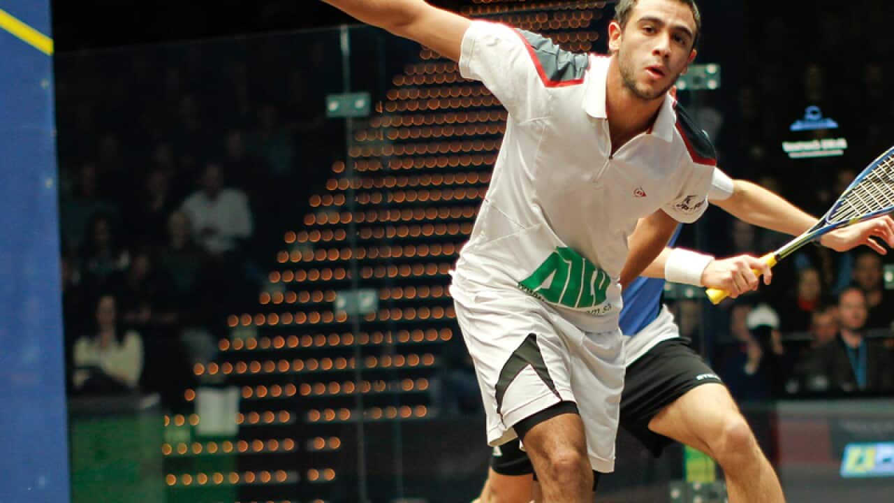 Egypt's Ramy Ashour