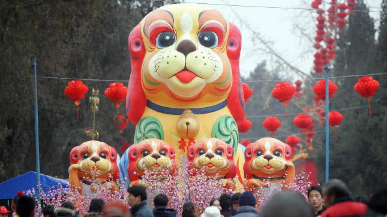 A display of dogs greets visitors arrivi