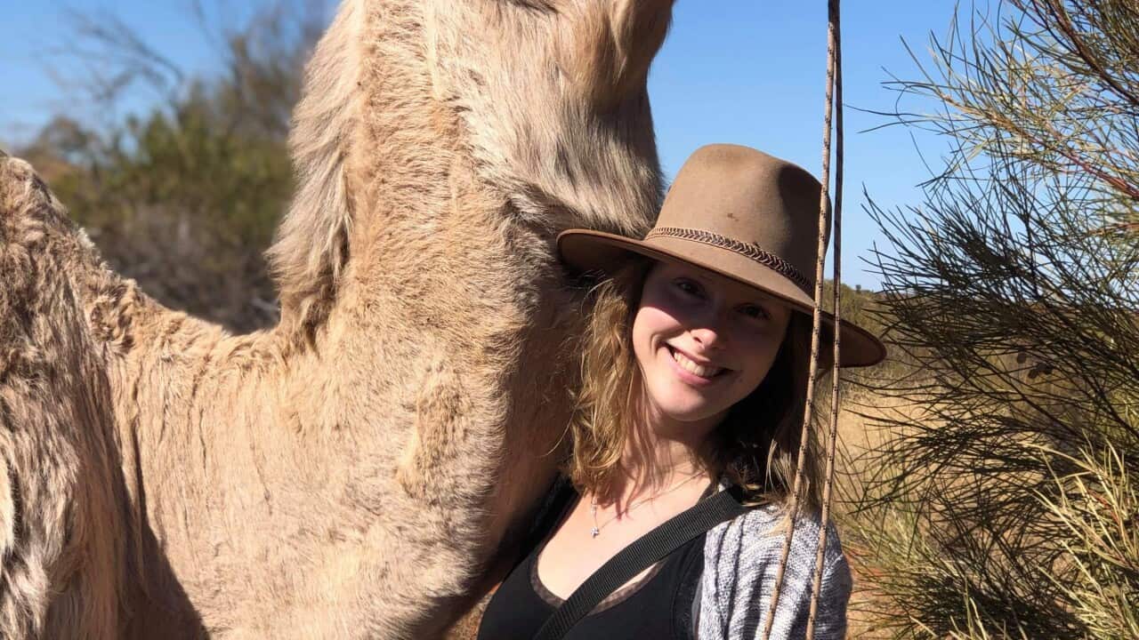 Tourism