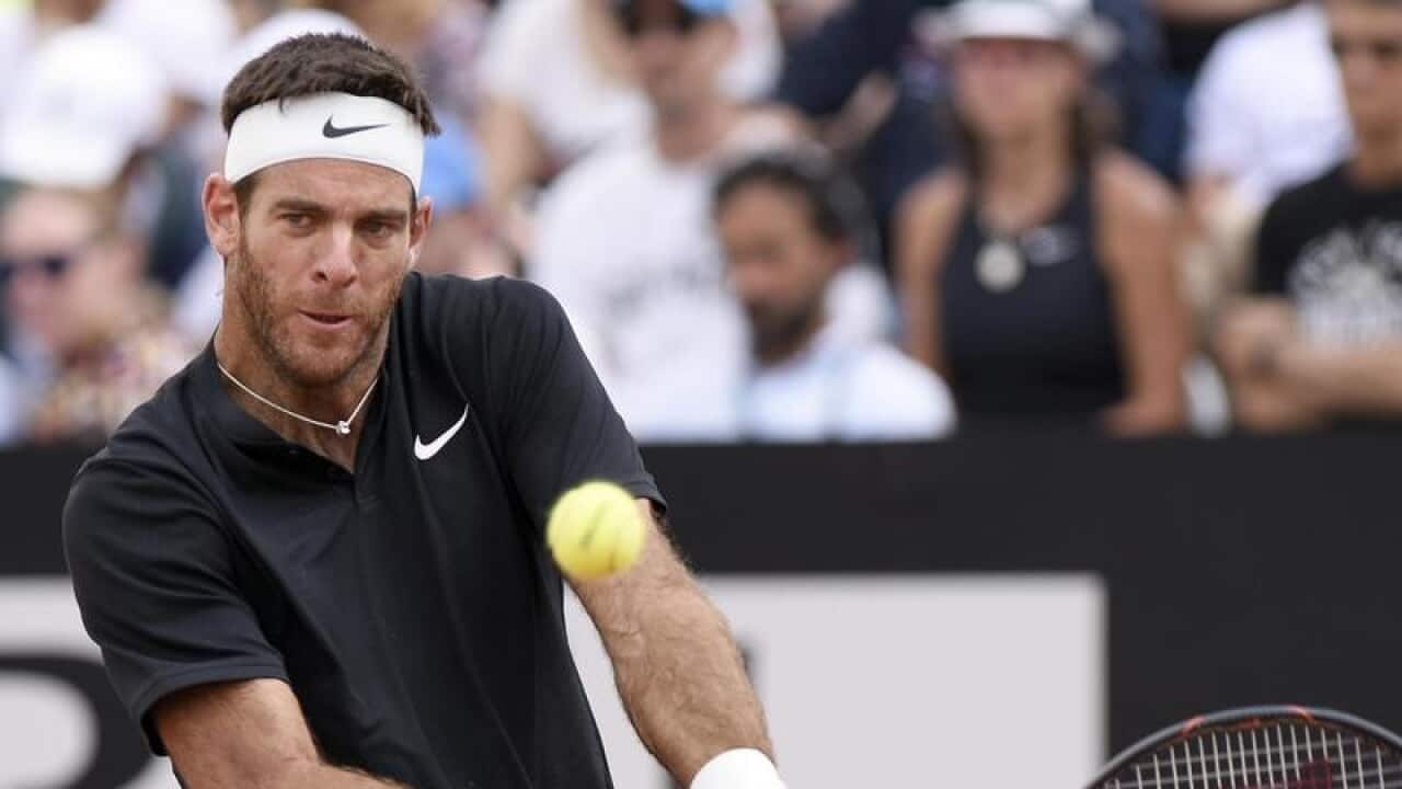 Juan Martin Del Potro