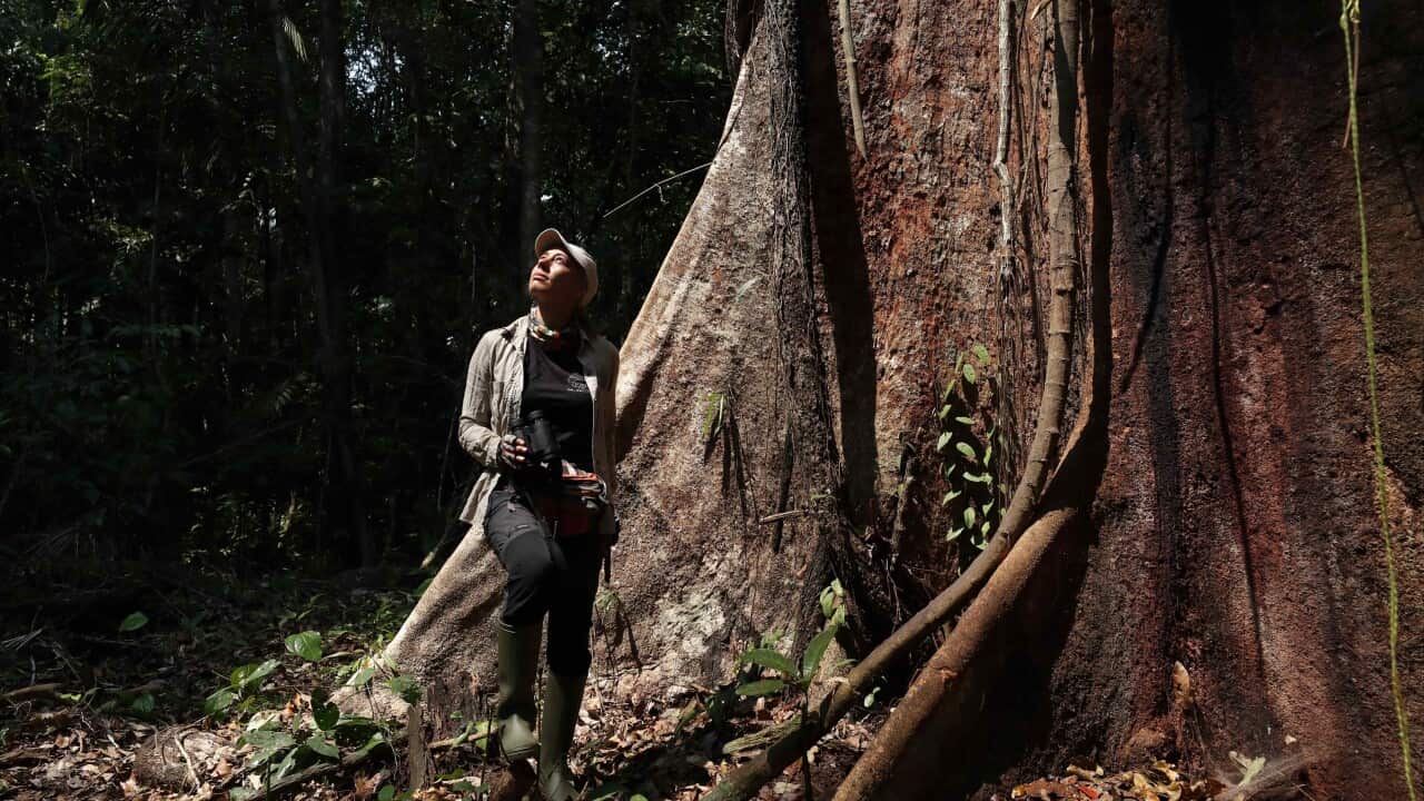 Image for read more article 'Más información:'