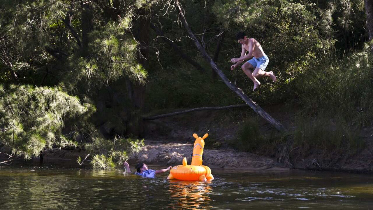 A man jumps from a tree into the water at Cotter Bend near Canberra.