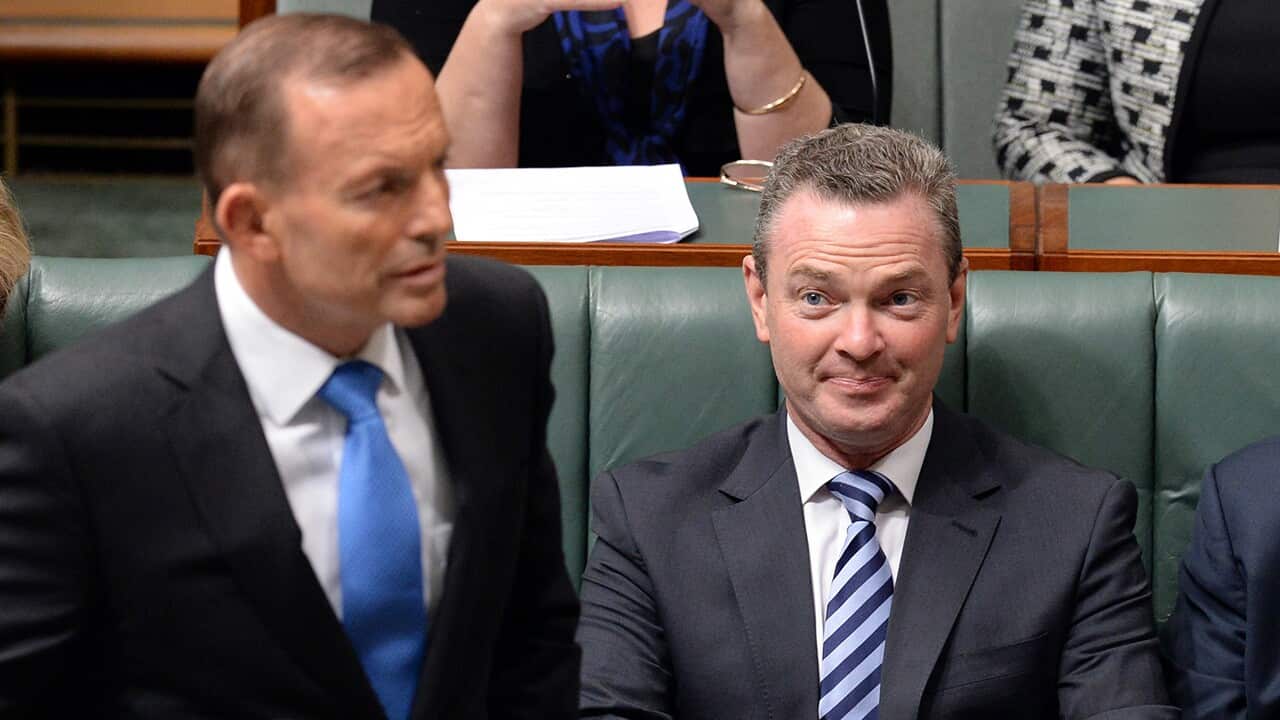 Pyne