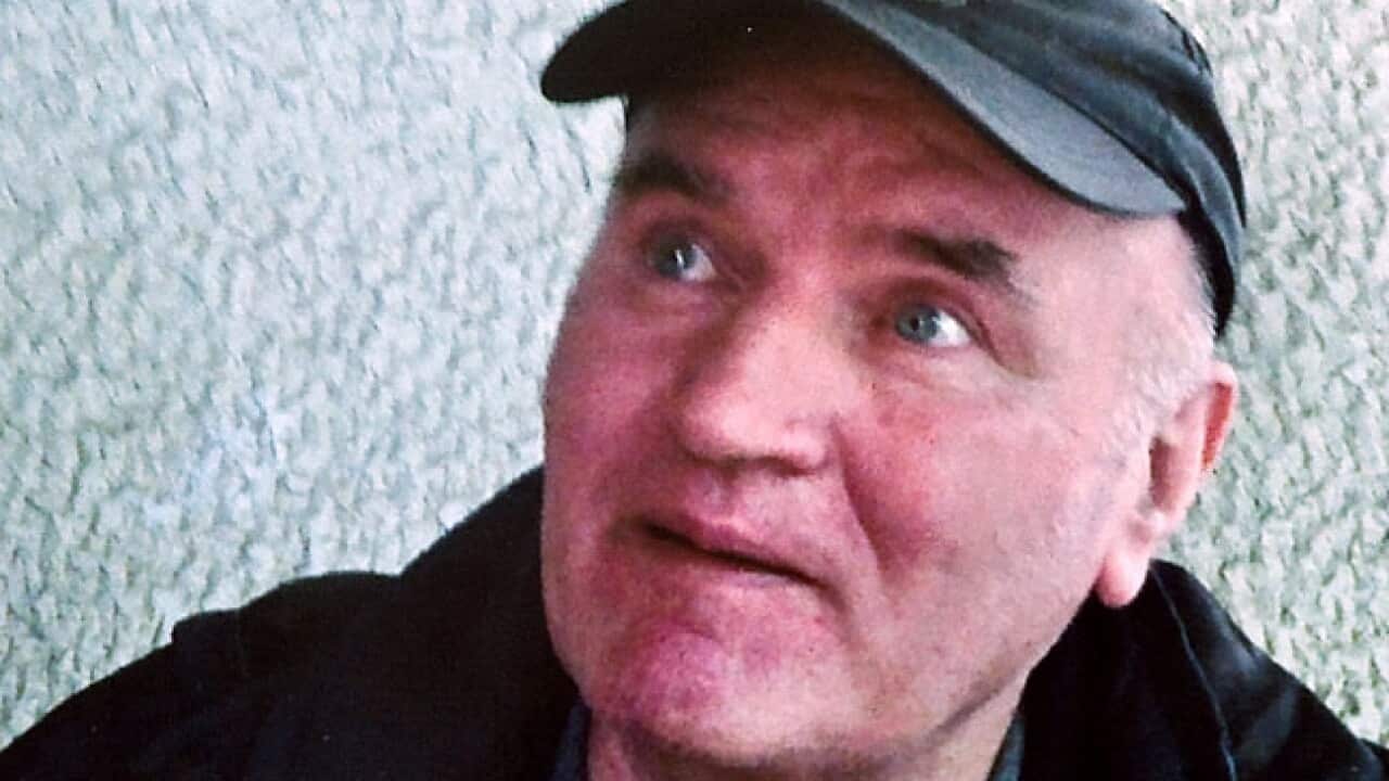 mladic_20110528_b_aap_50642780