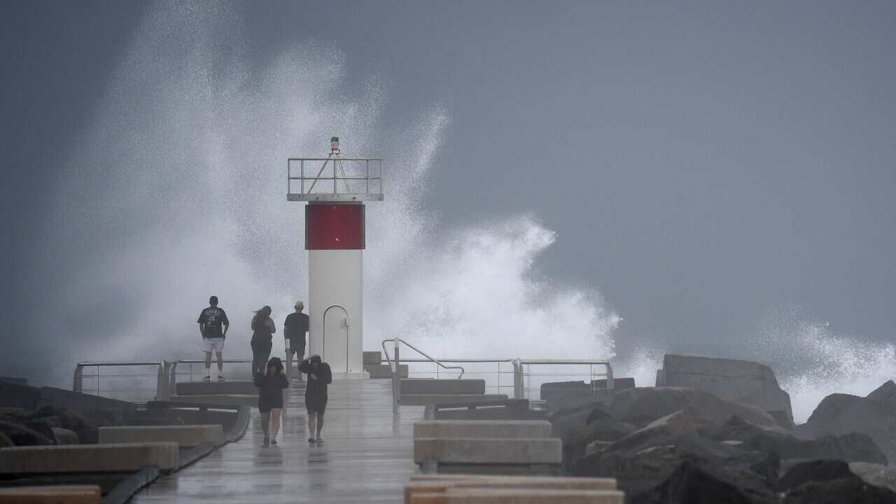 QLD CYCLONE ALFRED