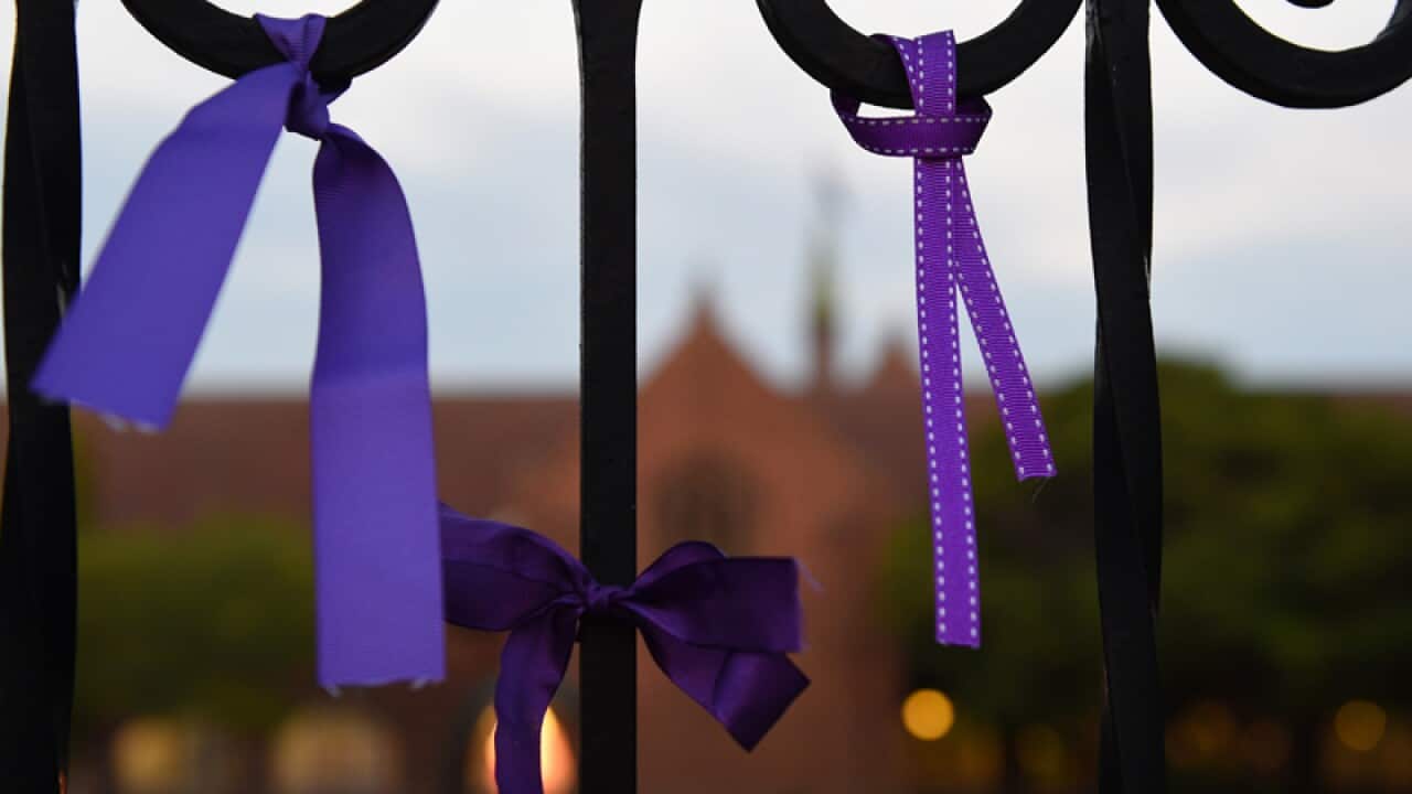 Purple ribbons are seen tied to the gates of Knox Grammar School