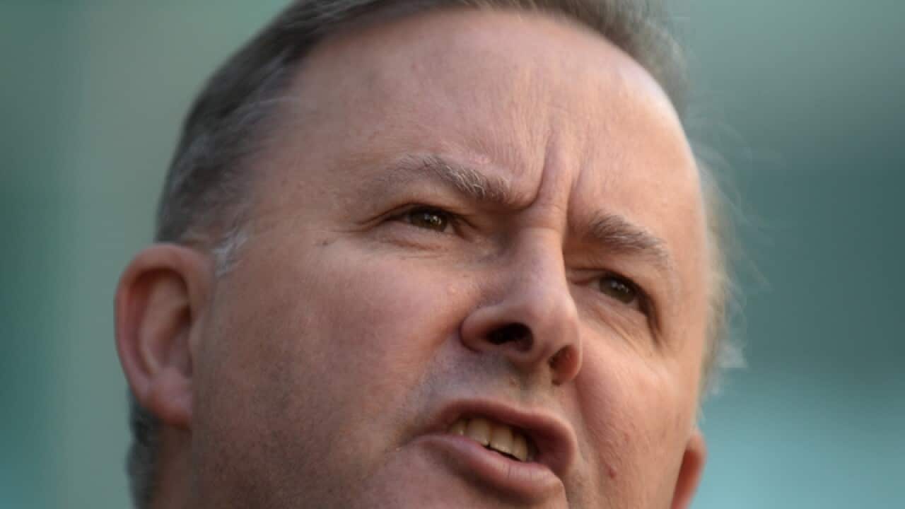 Senior federal Labor MP Anthony Albanese