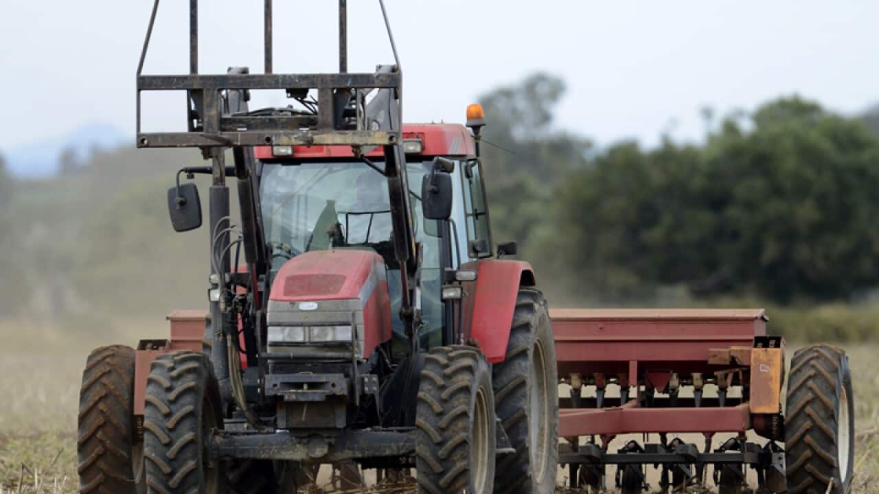 A farmer sows barley