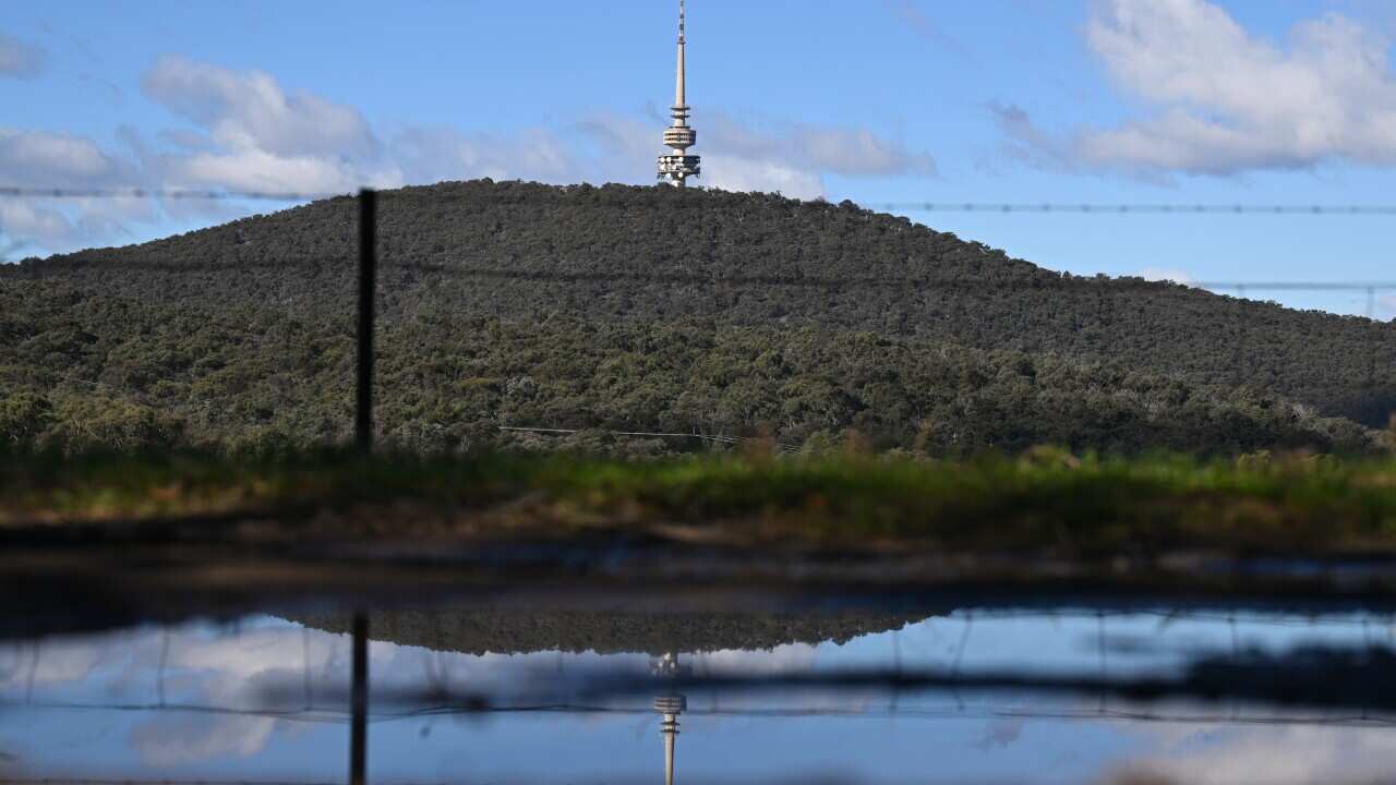 CANBERRA BLACK MOUNTAIN TOWER STOCK