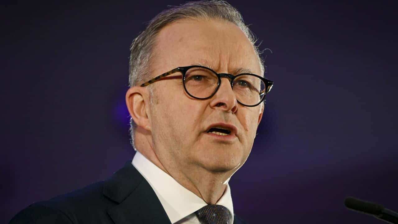 ANTHONY ALBANESE VOICE REFERENDUM ANNOUNCEMENT