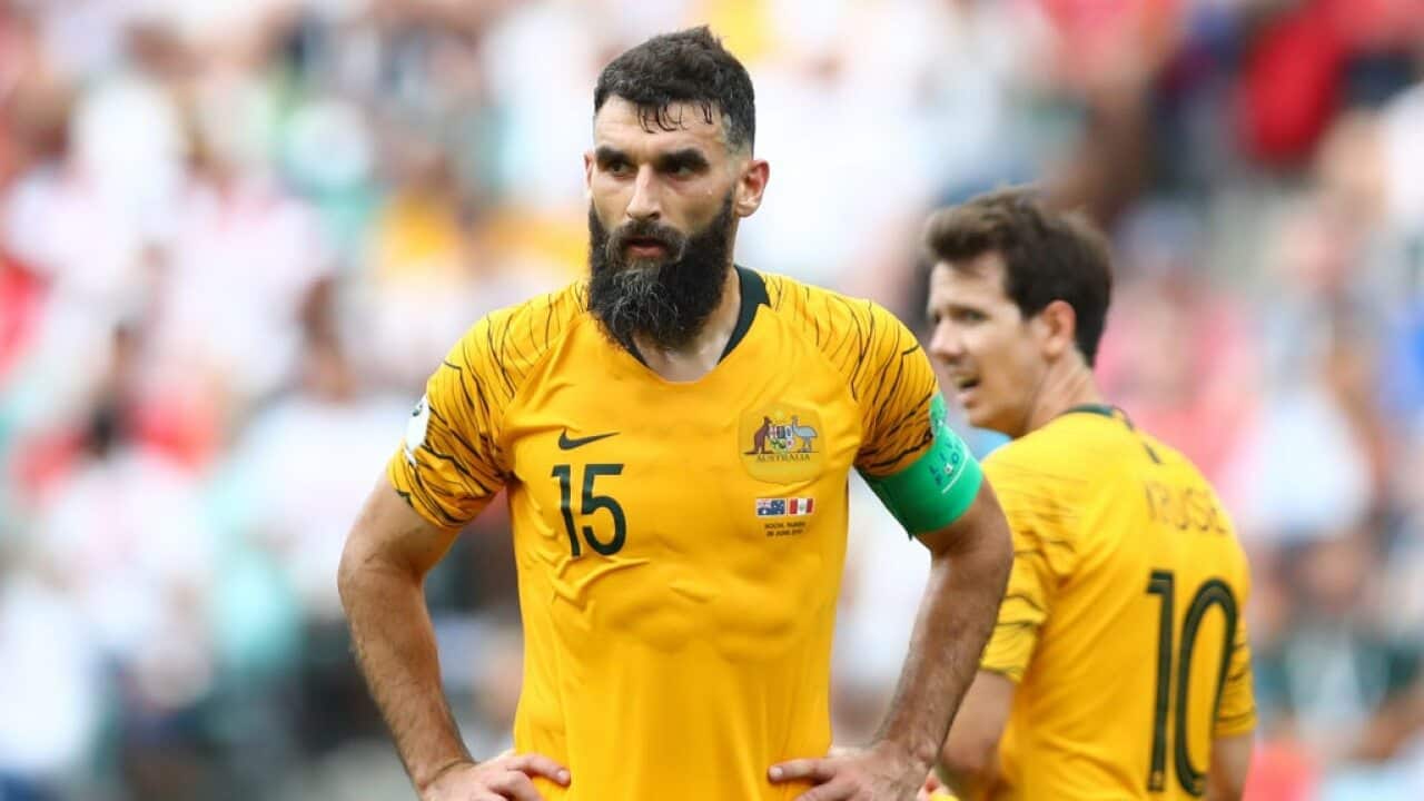 Mile Jedinak