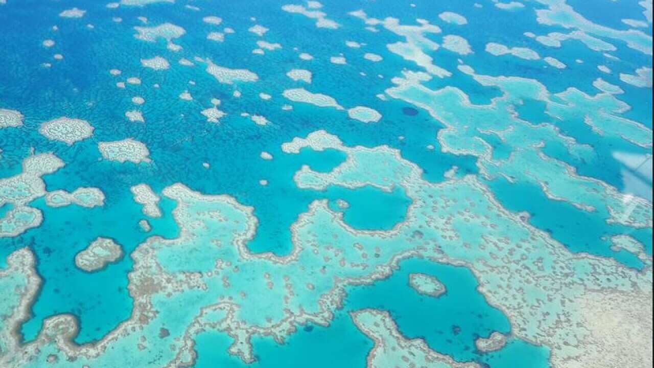 The Great Barrier Reef as viewed from above