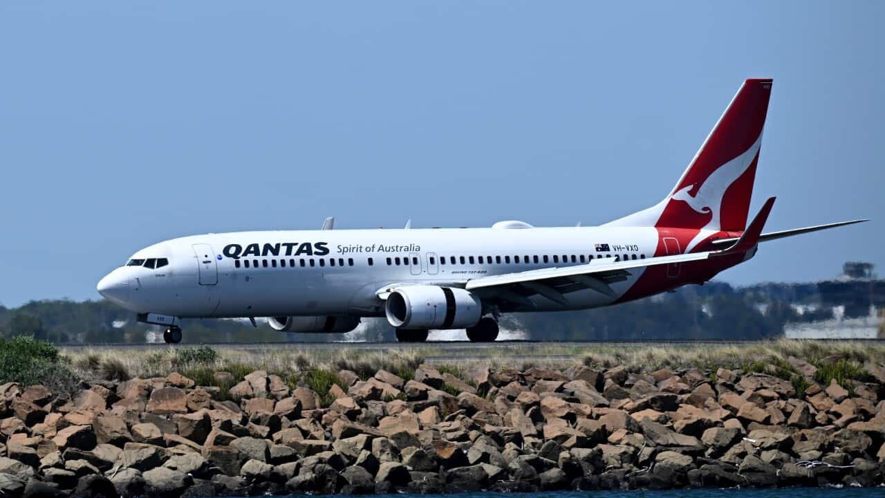 A Qantas plane at the airport.