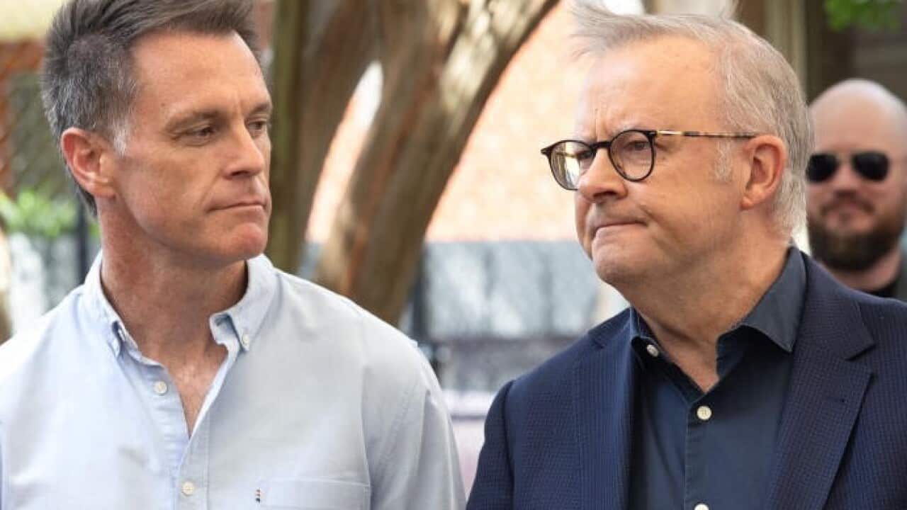 Chris Minns and Anthony Albanese (3).jpg