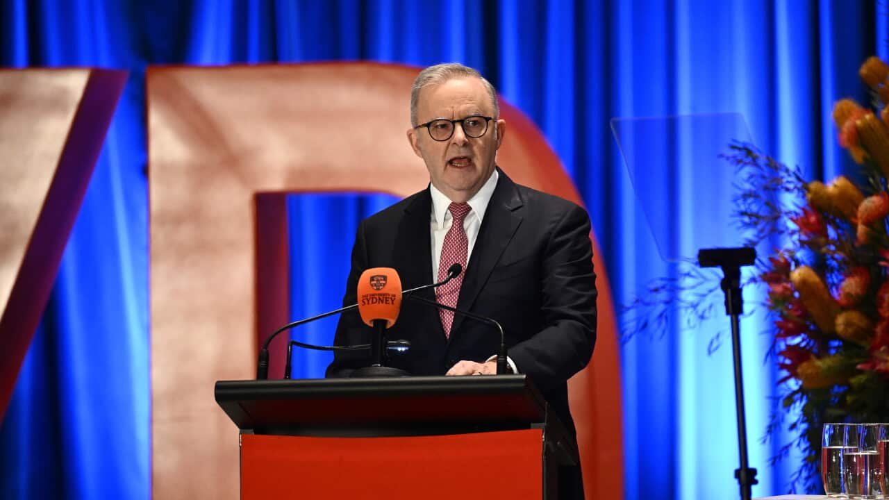 ANTHONY ALBANESE AI SPEECH