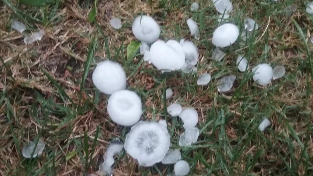Hails
