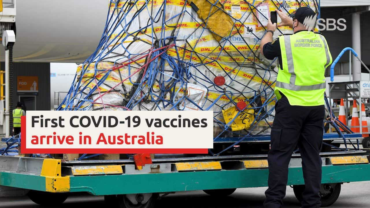 Vaccine
