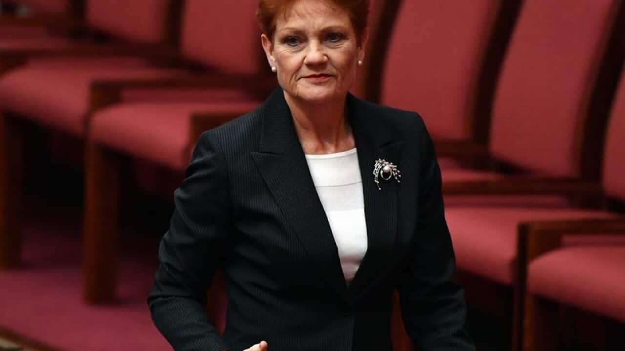 One Nation eader Pauline Hanson.