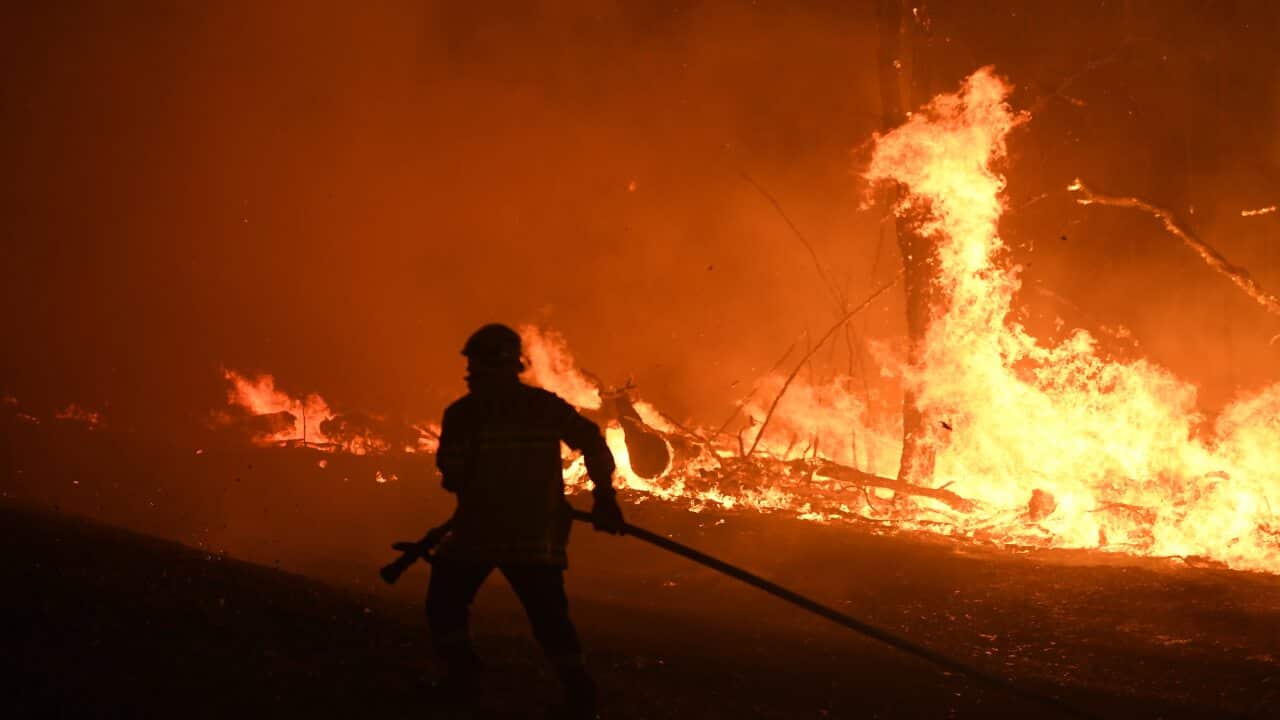 Firefighters in action in NSW this week.