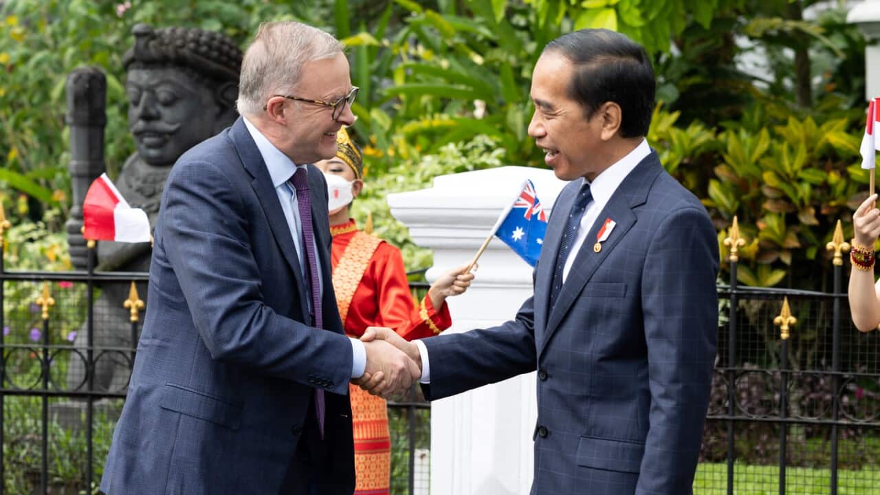 Anthony Albanese and Joko Widodo shaking hands