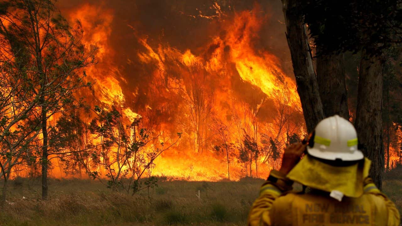 A firefighter on property protection watches the progress of bushfires in Old Bar, NSW, Saturday, November 9, 2019.