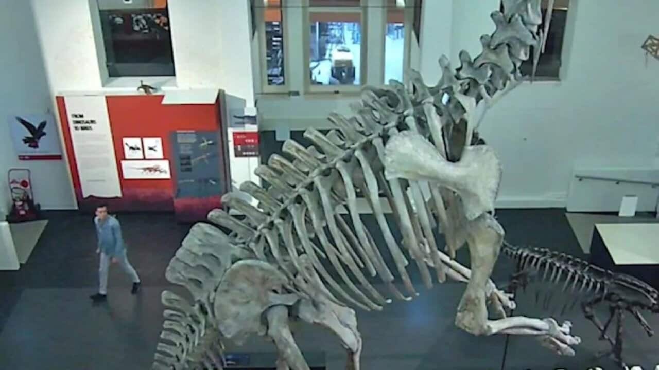 Strolling near the dinosaur bones.