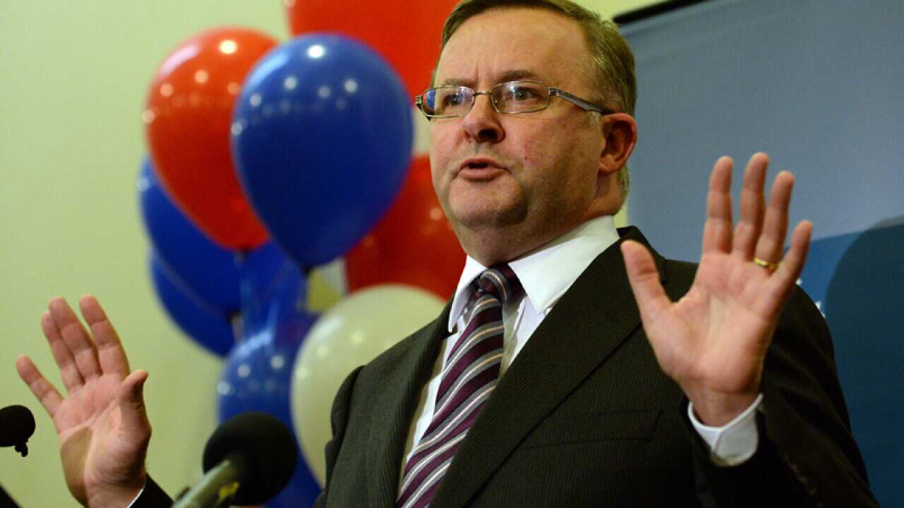 Labor leadership candidate Anthony Albanese