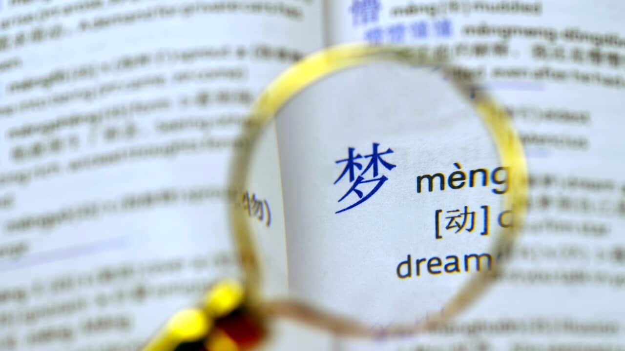 Focus on Chinese Dictionary - 梦 Meng (Dream): Australia Explained – Translating and interpreting