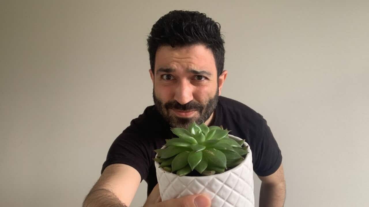 İbrahim Halacoglu Very Nice Pot Plants to Purify the Air and Enrich Your Life