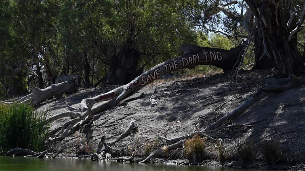 the Darling River