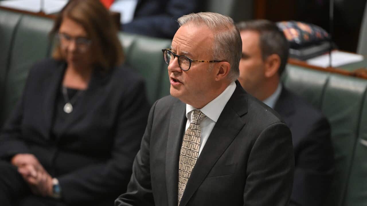 ANTHONY ALBANESE CLOSING THE GAP STATEMENT